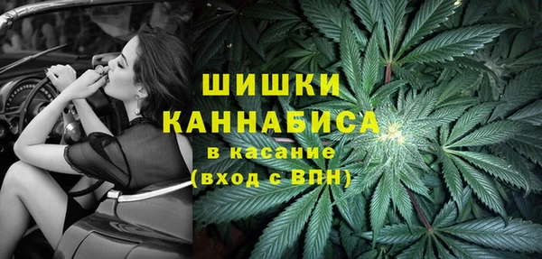 трава Протвино